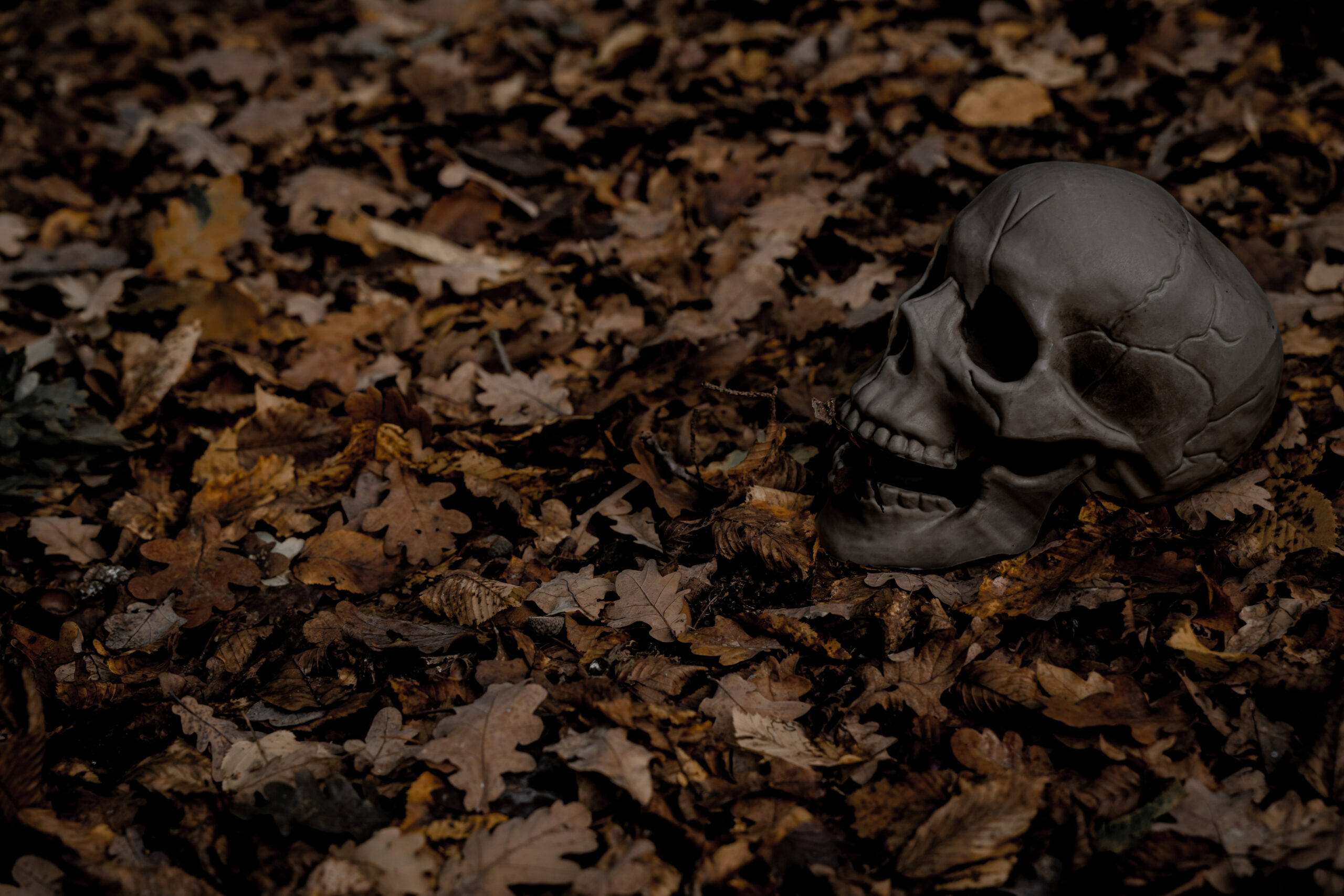 III. Bearbeitungs-Playlist – Kuratiert von Optica Obscura 🖤